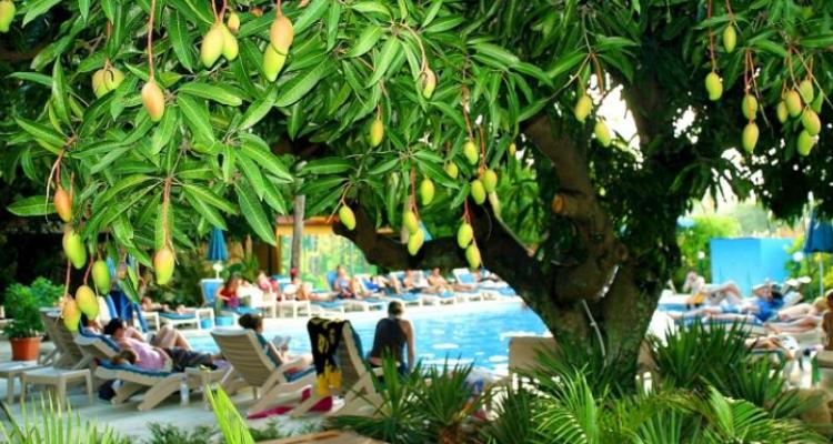 Nadi Bay Hotel Poolside - Nadi Hotels