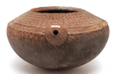 Lapita pottery is found at the Sigatoka Dunes