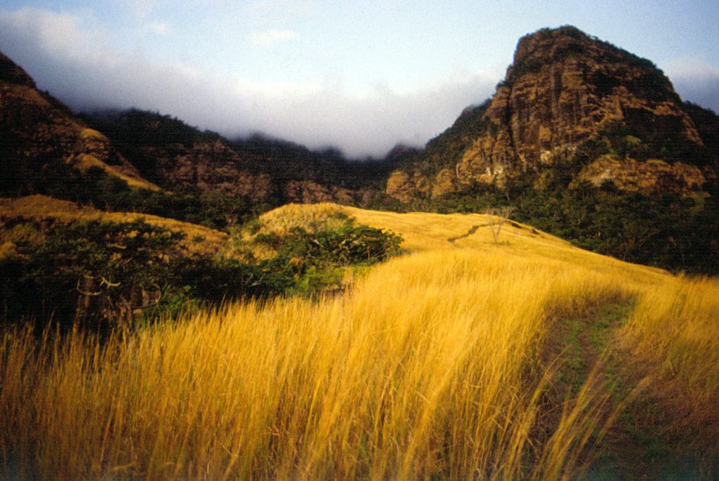 Koroyanitu National Heritage Park