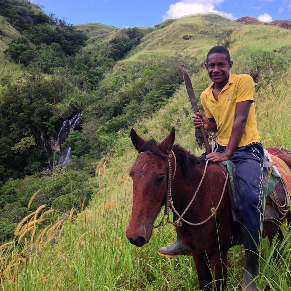 Local Fijian on horseback 