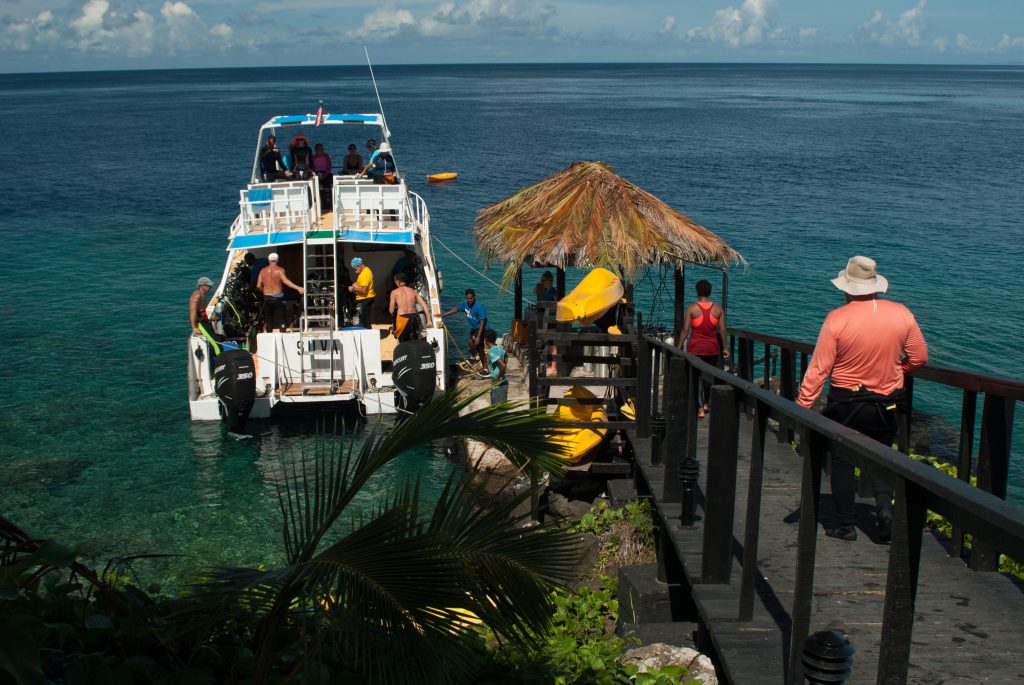 Paradise operates a Dive Shop and fleet of Dive Boats