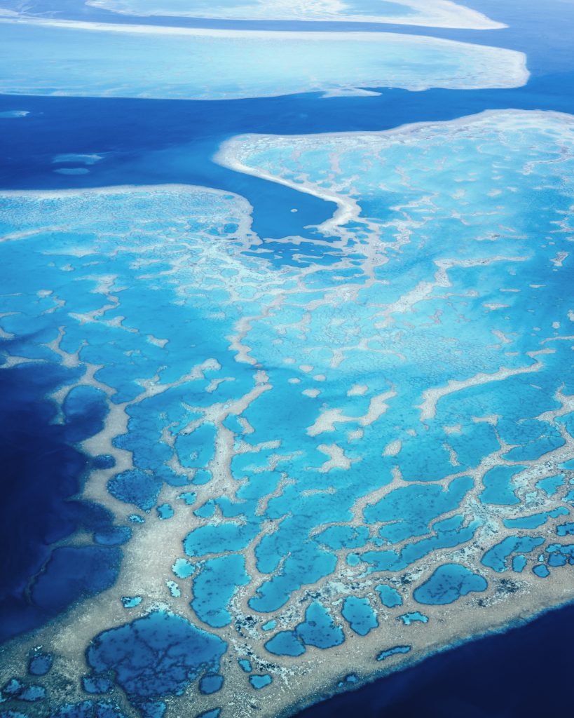 Coral Reefs - Fiji Islands Geography