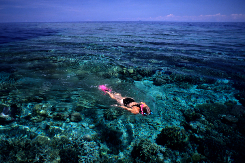 Snorkeling - Yasawa Island Resort