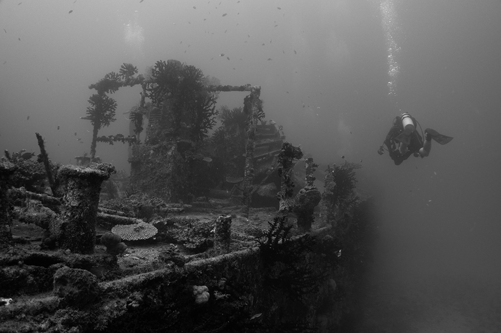 Ship Wreck Diving World Class at Lalati