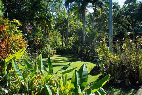 Garden of the Sleeping Giant  is another of the  not to be missed Nadi, Denarau & Lautoka area attractions