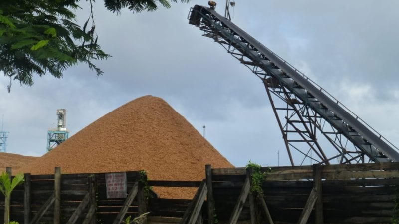 Mountain of sugar at the CSR Mill in Lautoka
