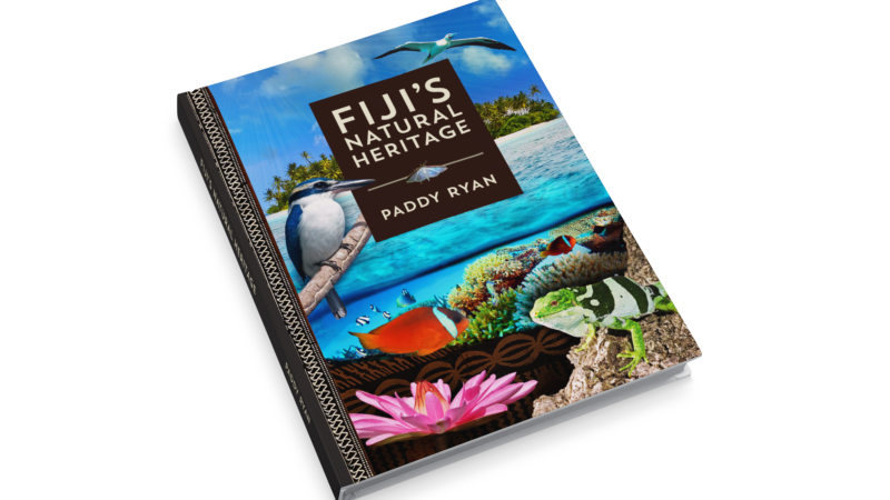 fiji tourist information